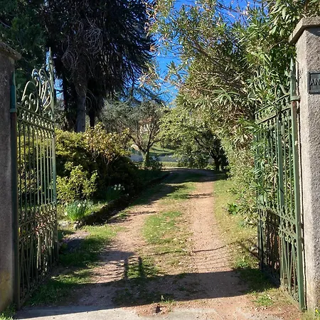 Vista Bella - Giulia *